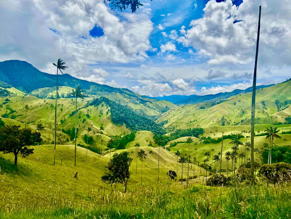 Samaria vallei Colombia